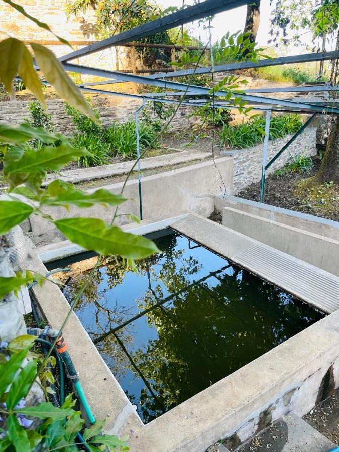 فيلا Quinta Da Xistosa Foz do Sousa المظهر الخارجي الصورة
